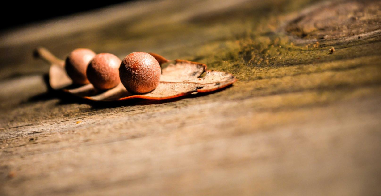 “吸烟是否会导致焦虑症状？” 