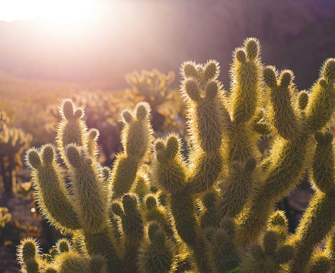 婕斯生活app详情下载教程