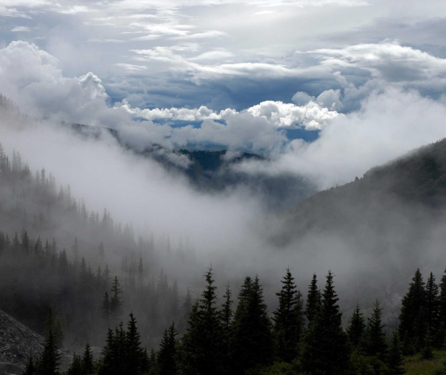 专用手机卡- 龙湾注册代理会计平台