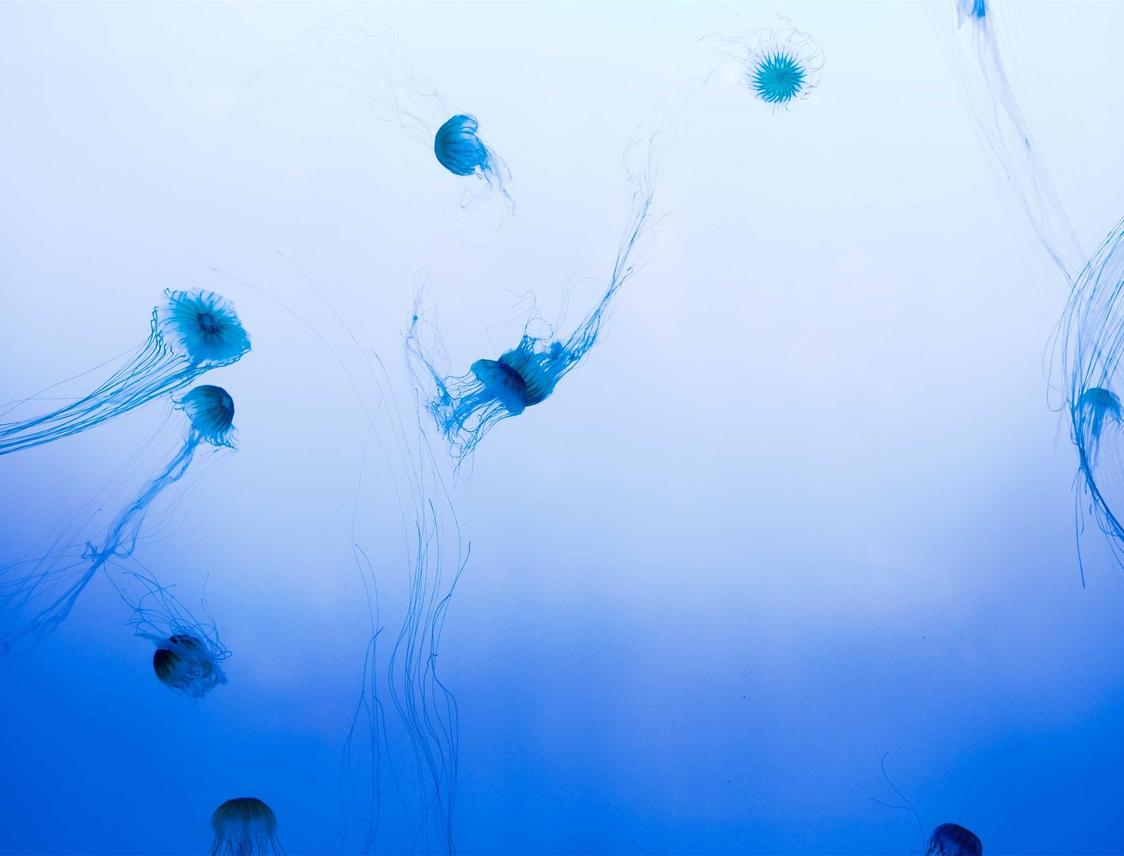 英豪6苏州篮球购买平台