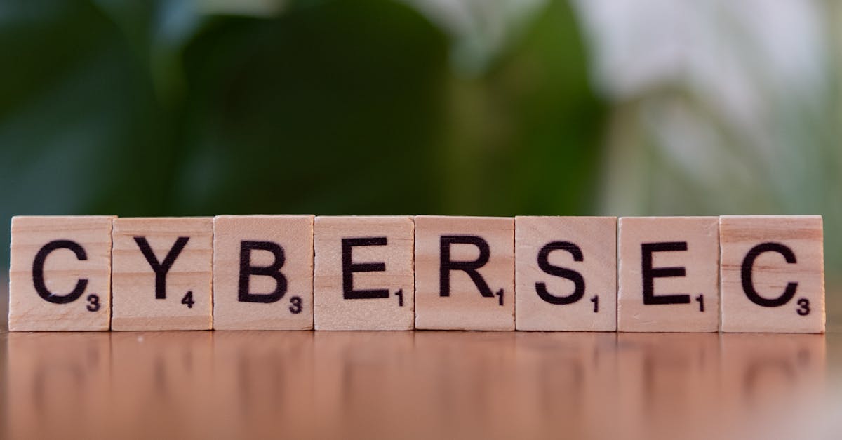 香烟卫生问题:世界卫生组织报告