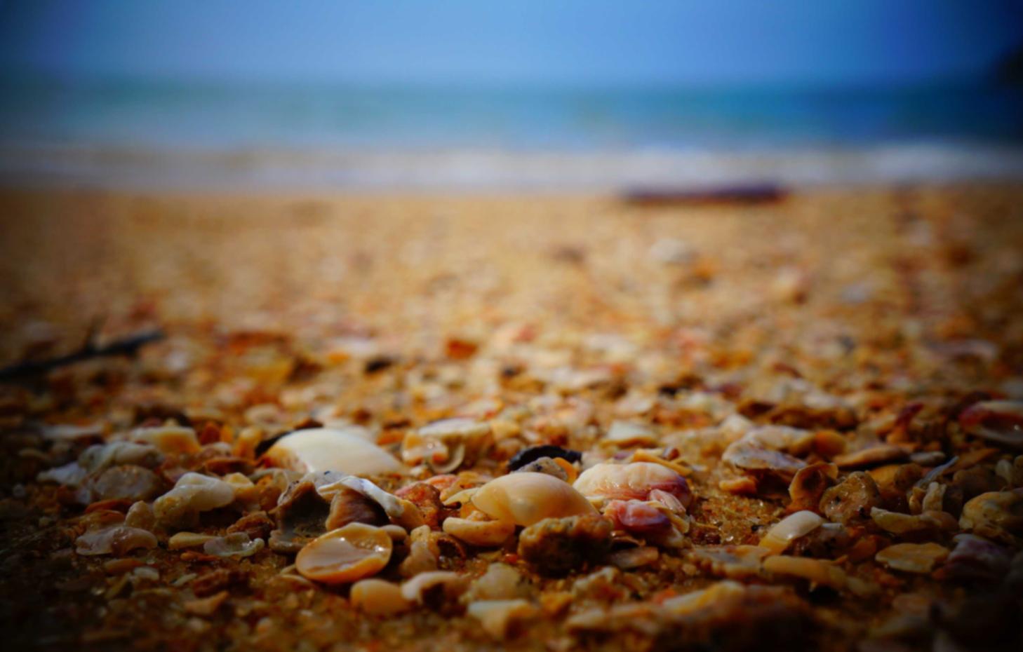 日免七星黑标（软）：Pixiv榜单APP详情下载教程