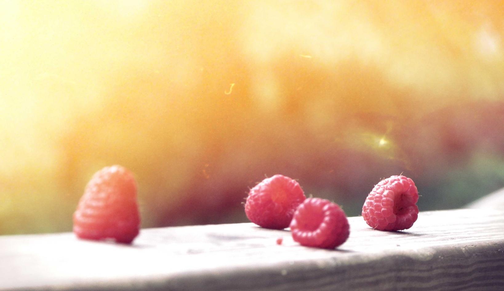 韩免铁塔猫济州岛(限定):外汇开户平台送金