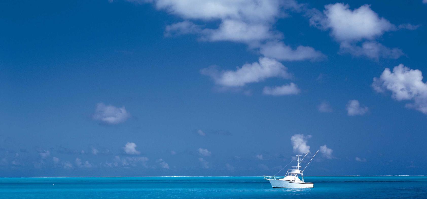 梦幻龙族2Wegame版：暴雪使命召唤战区账号注册