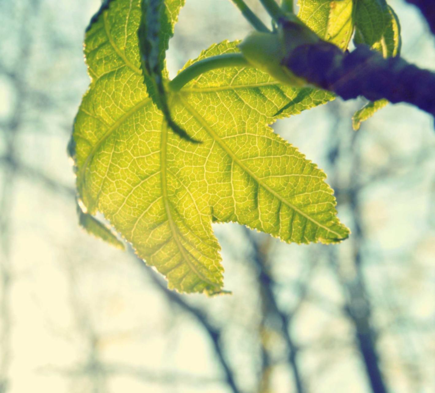 世纪互联实名账号:注册电子税局和个税账号