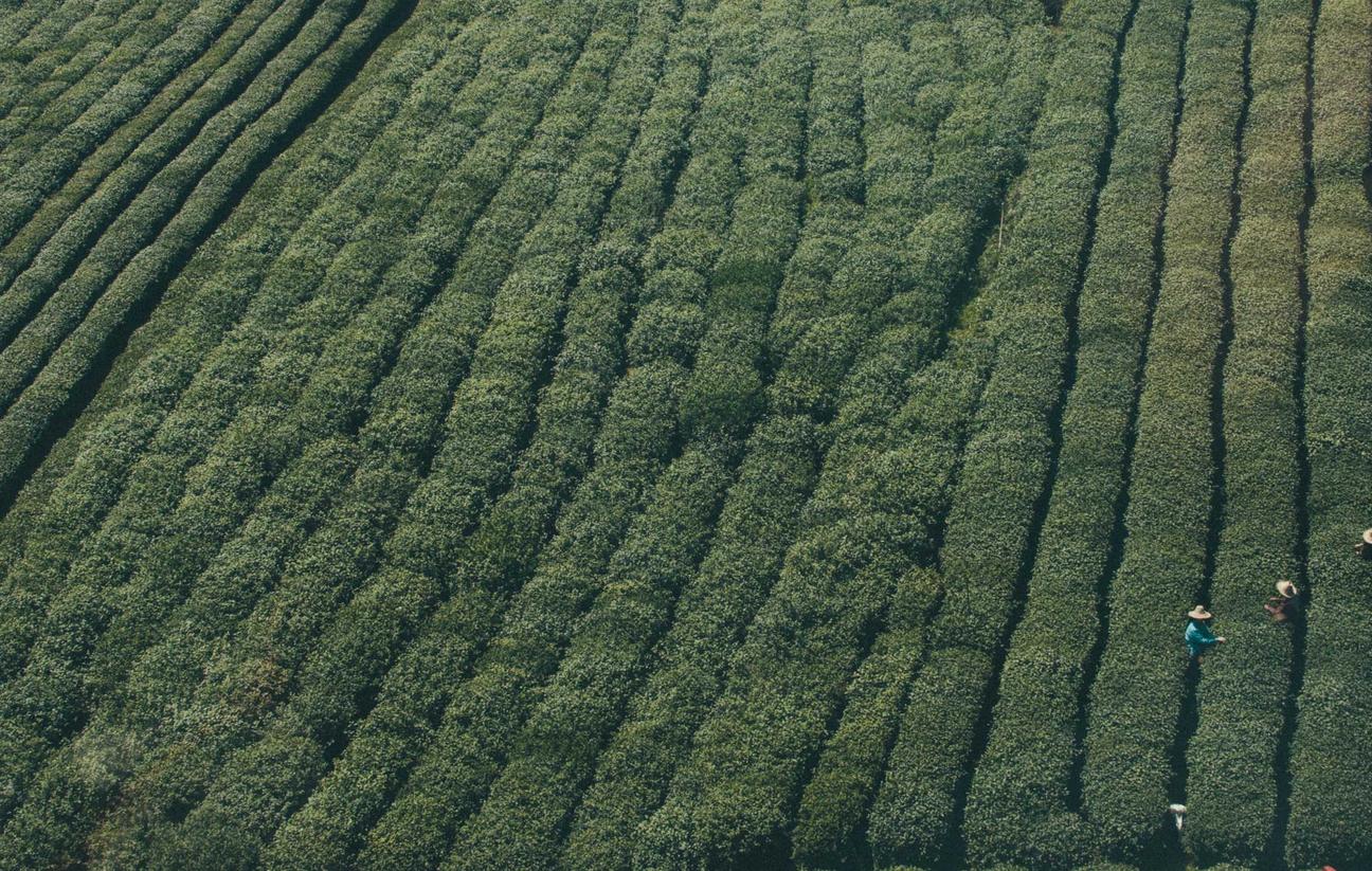 极信通信实名账号:网络平台免费代理加盟