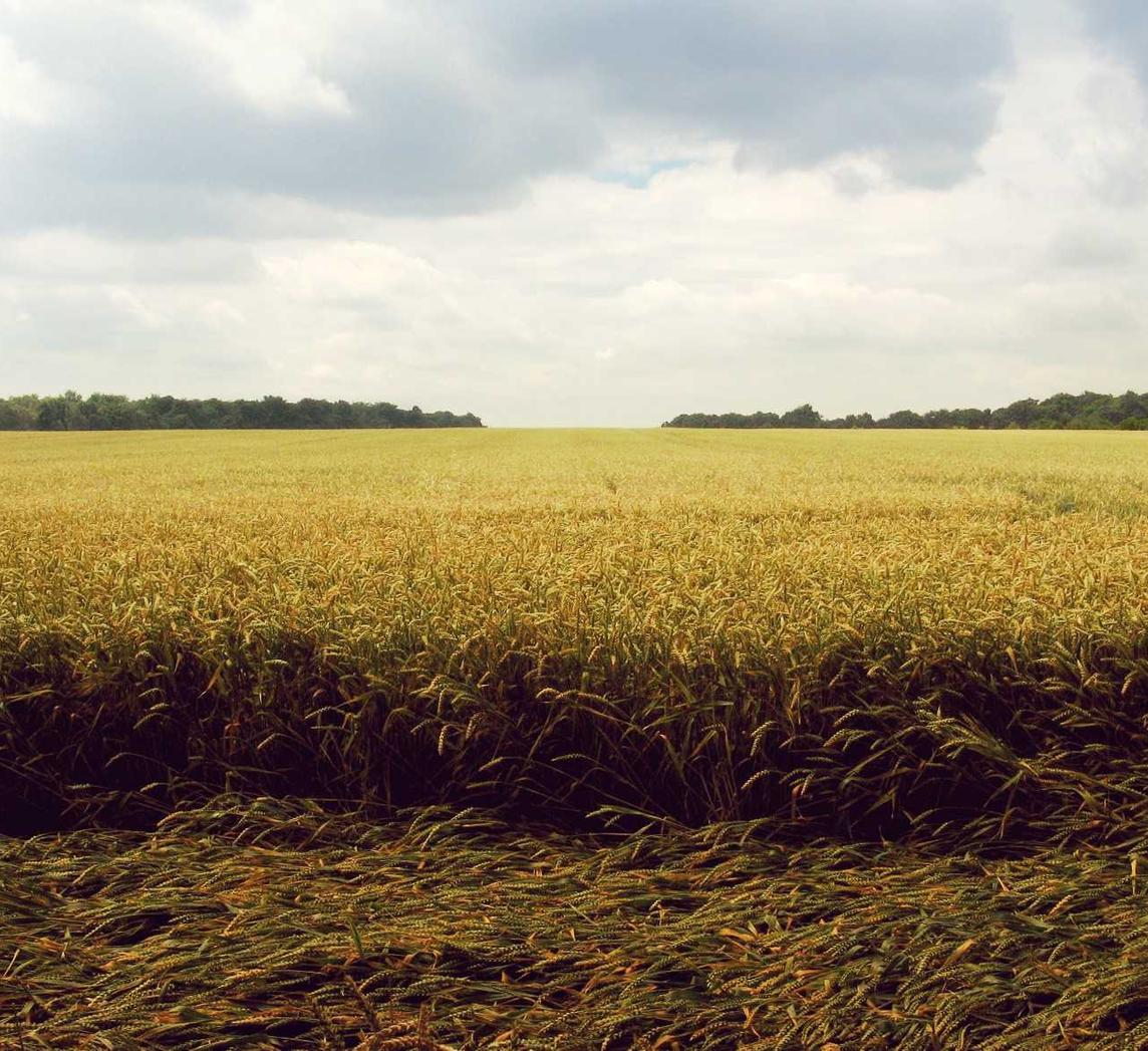 虚拟机手机卡实名实名账号:六发左轮注册账号