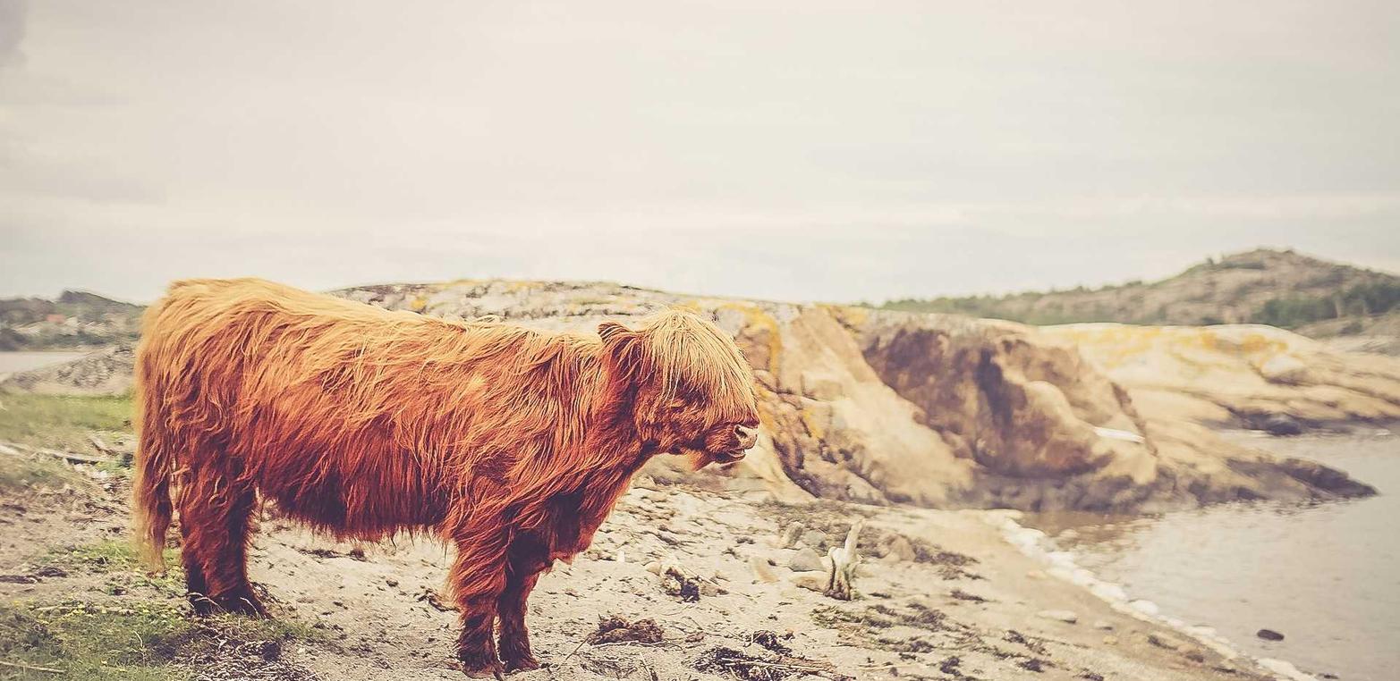 他趣实名账号：牛B项目规划平台开户
