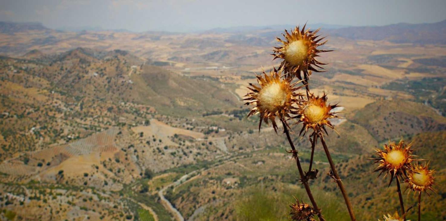 DDOS攻击|风暴影音怎么注册账号手机