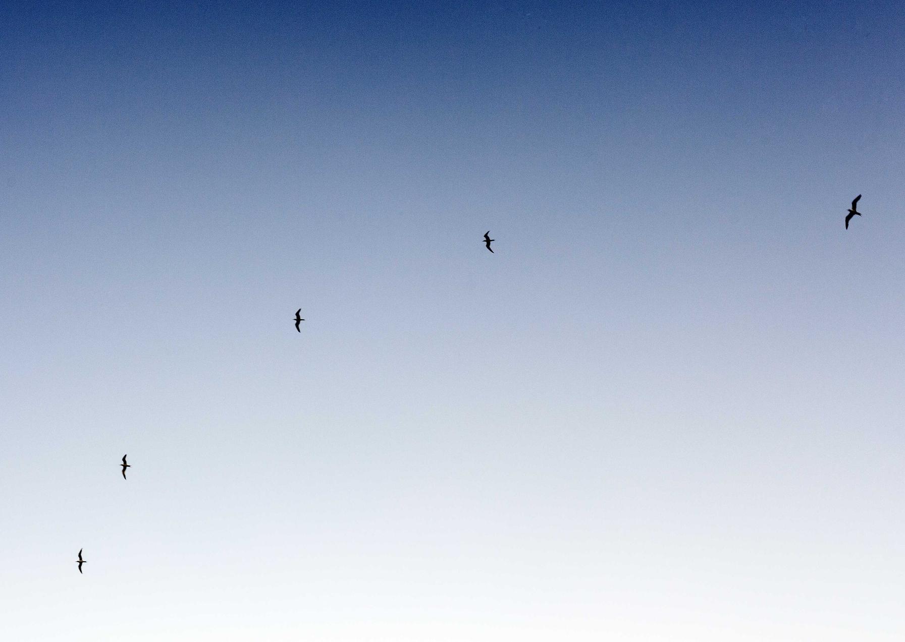 深度ip实名账号：反击计划如何注册账号登录