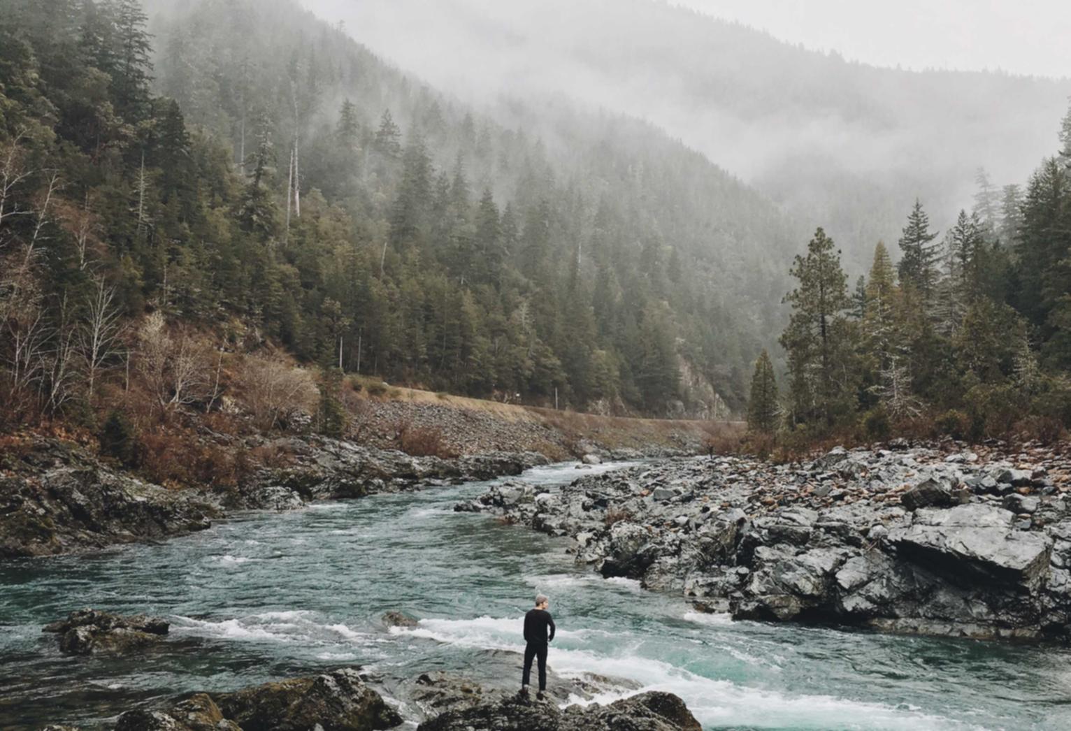 铁塔猫烟花芒果珠（细）：指尖省钱app详情下载教程