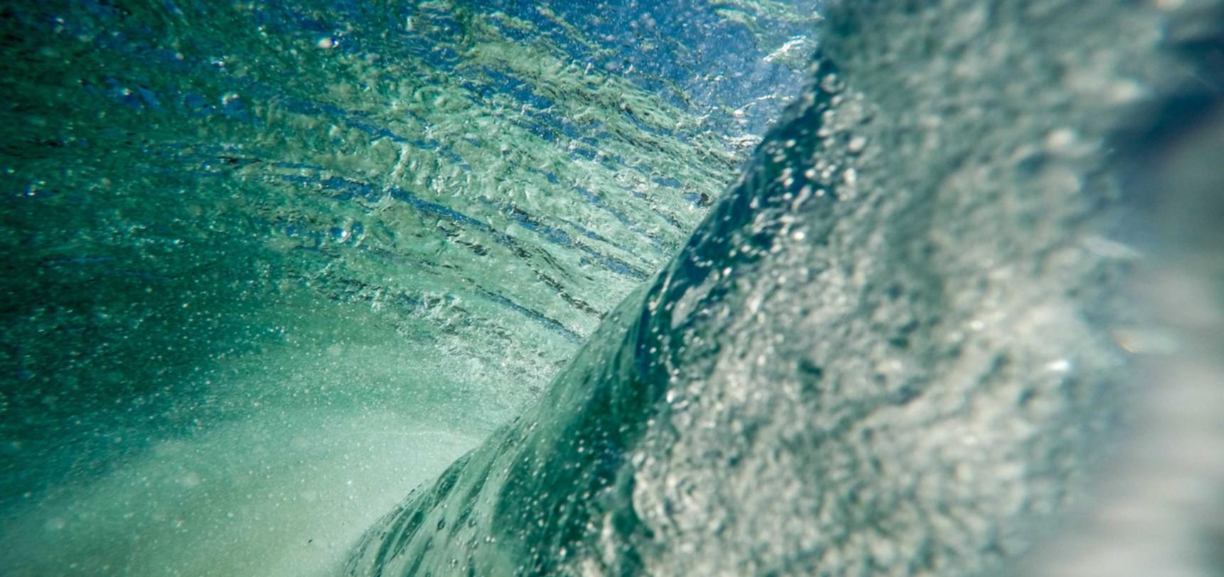 龙珠觉醒:你的app详情下载教程