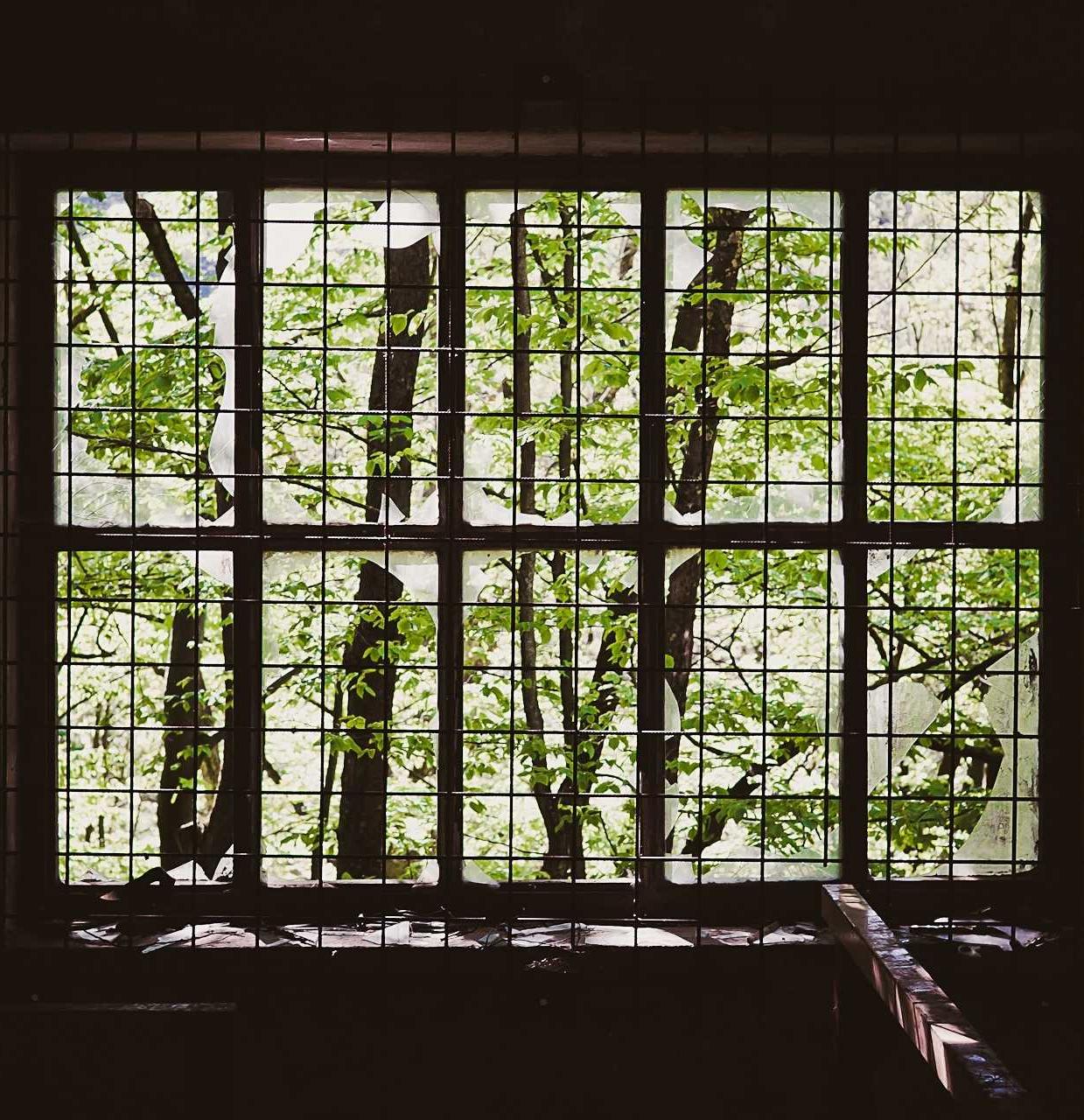 阿凡提绿豆:皓影 app详情下载教程