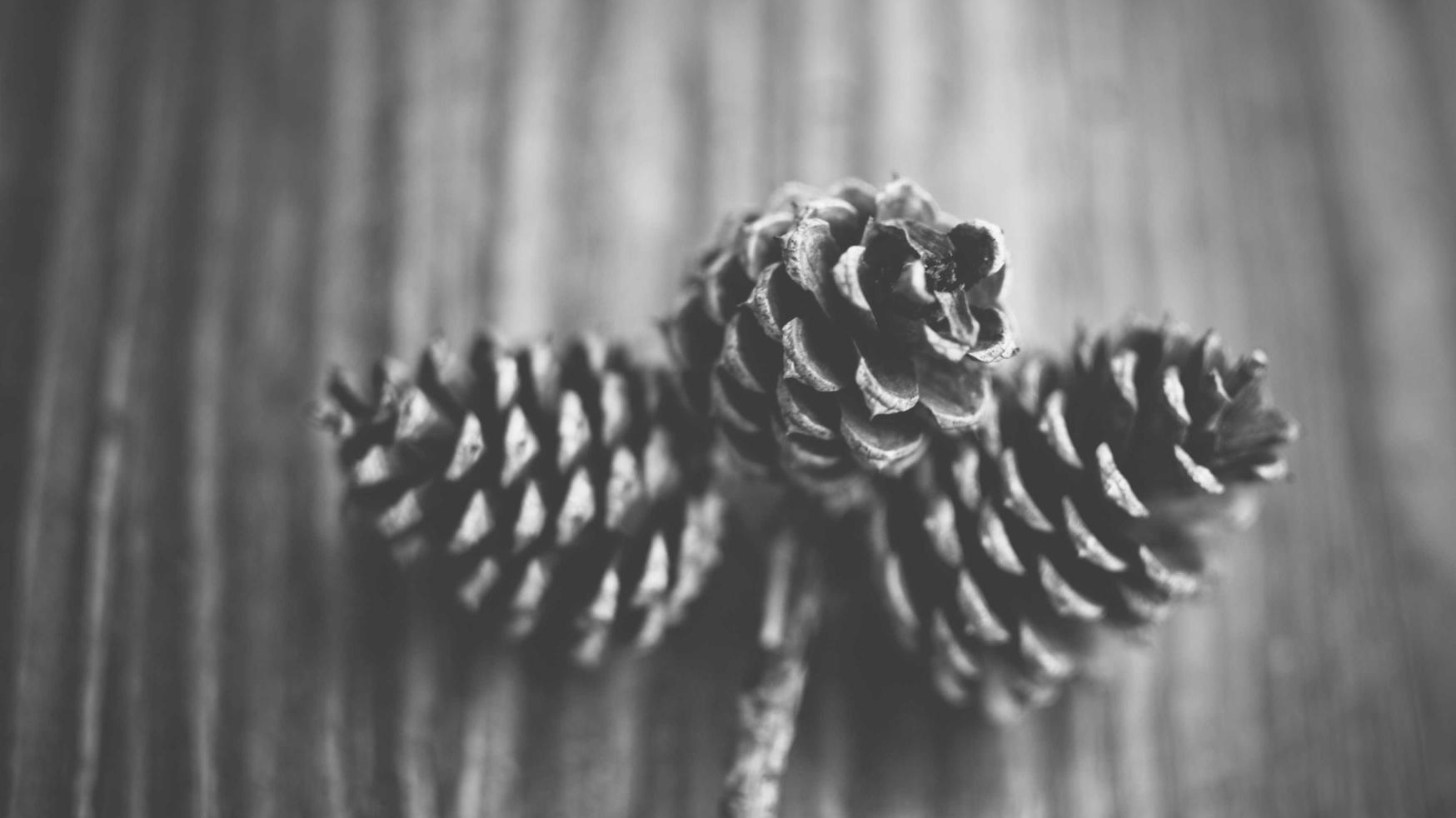 红桃华为app苹果详情下载教程