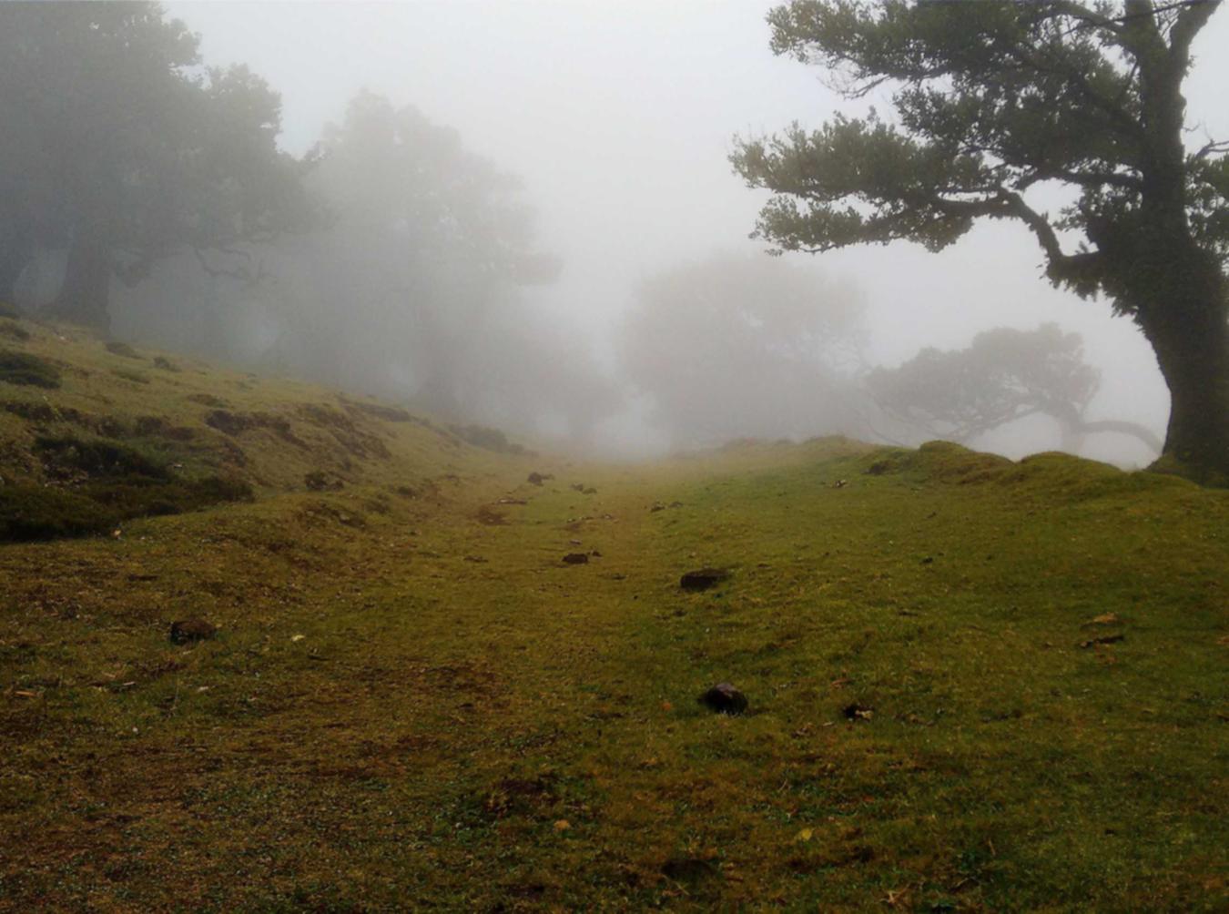 国外ddos攻击页端|详情下载教程钱端app