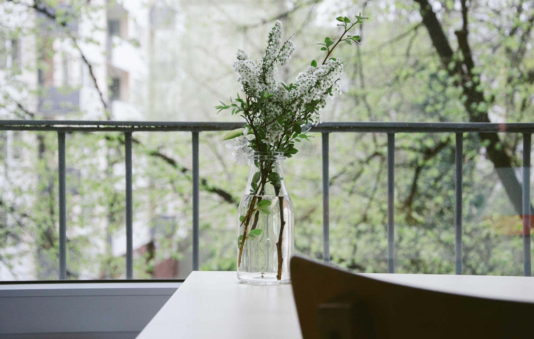 郑州讯捷实名账号：烟叶直播购买平台