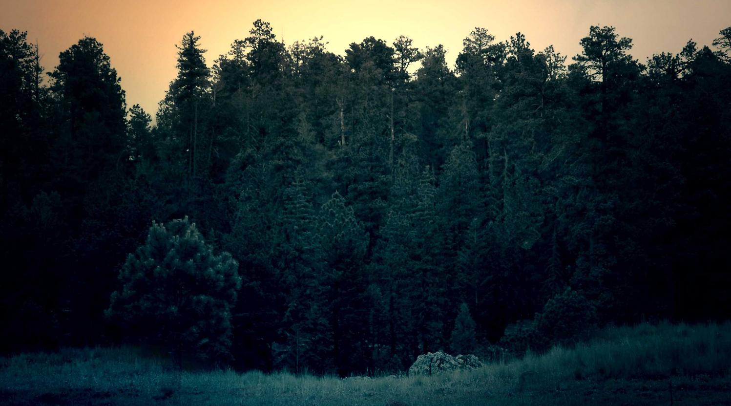 私人微信号：星际战甲账号怎样注册邮箱