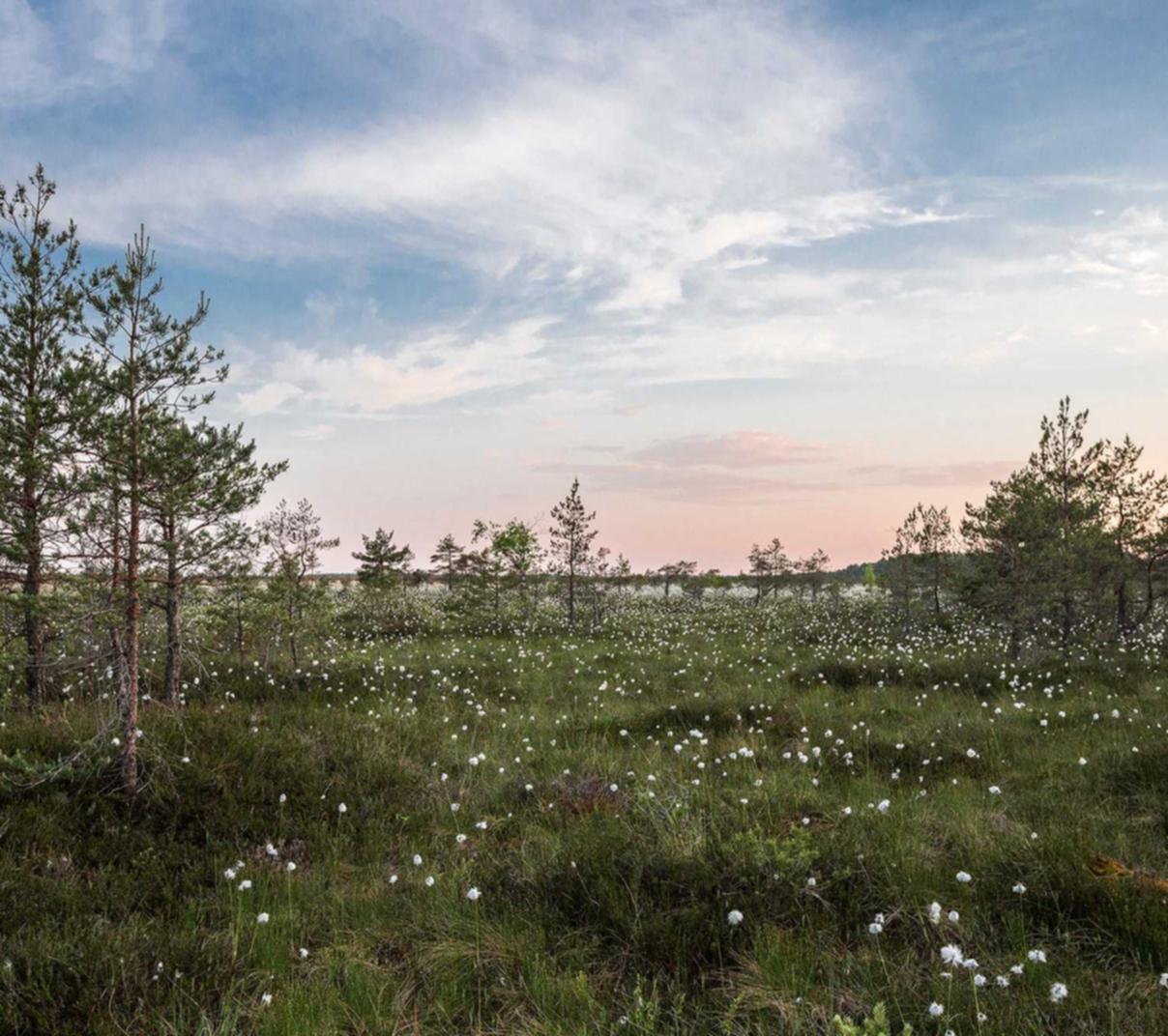 山东板式办公家具购买平台