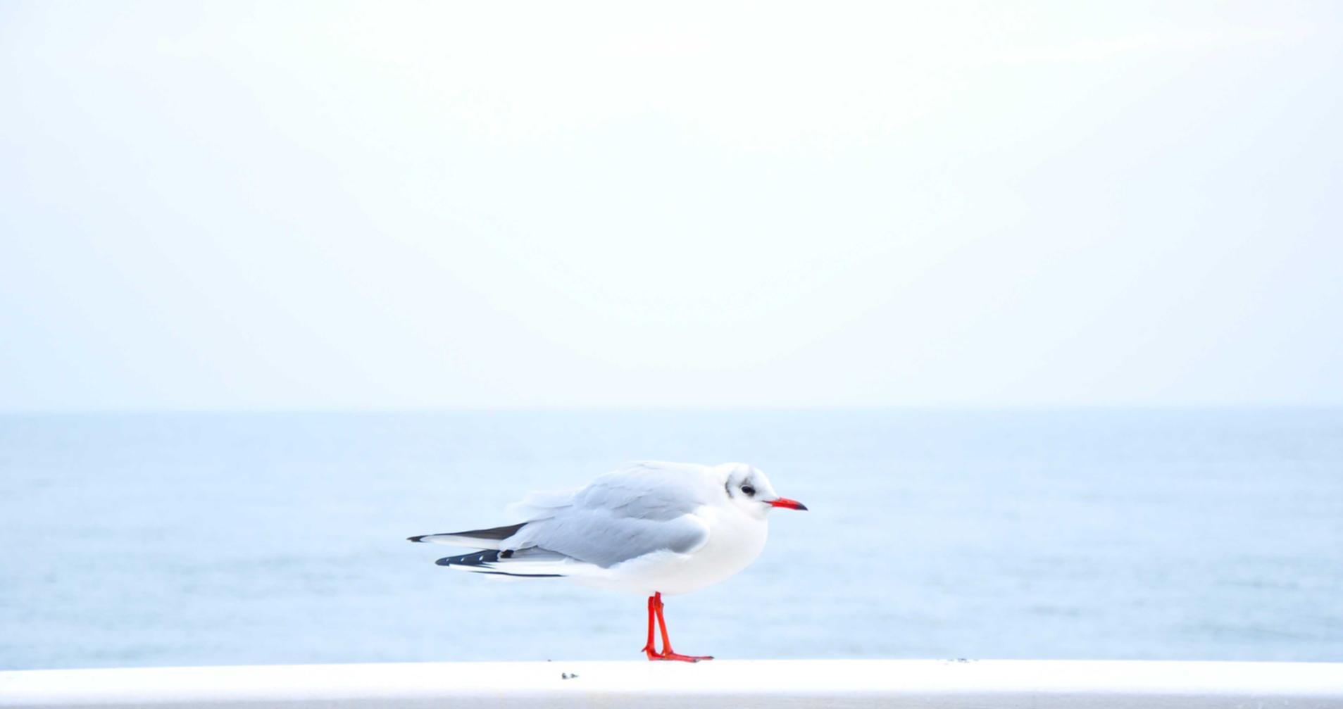 流量卡在航空、海运和铁路交通中的应用和安全保障