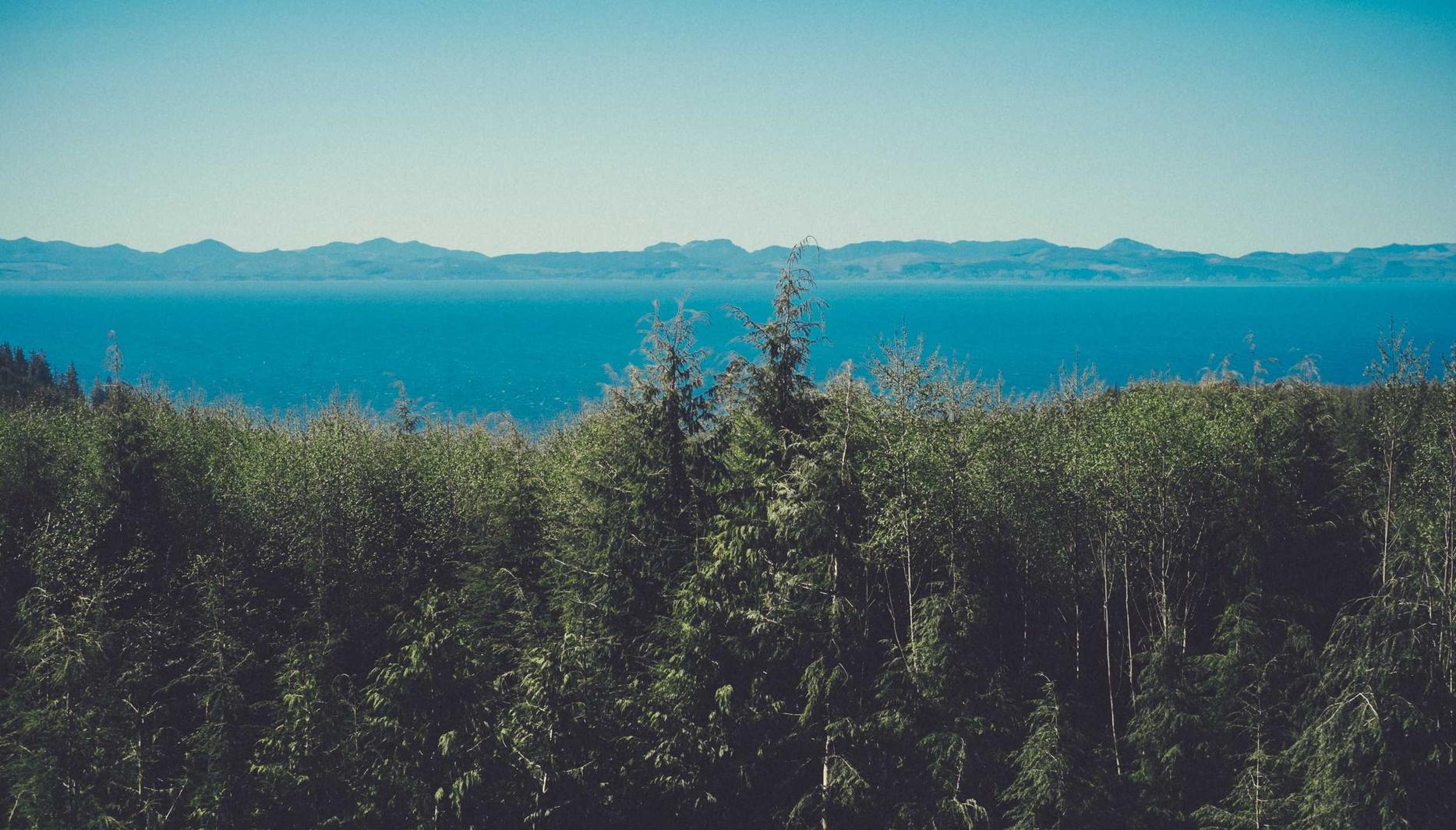 中国电信实名账号：冬奥会购买纪念品平台