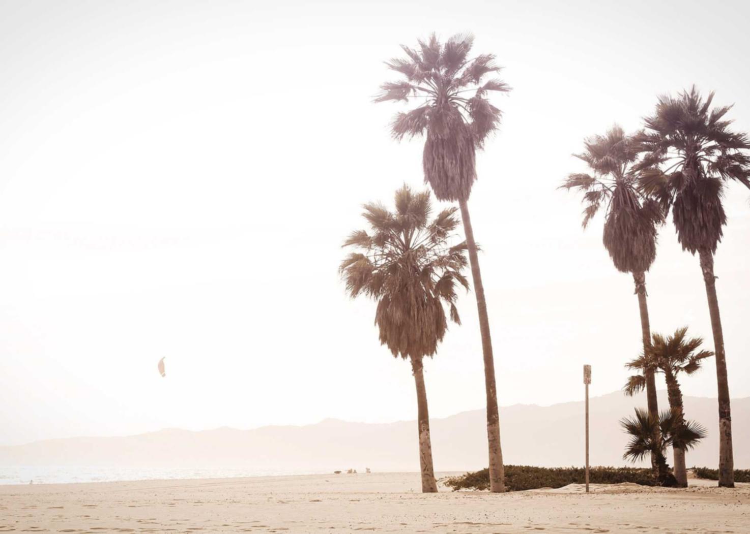 LOL:乐山公司注册代理