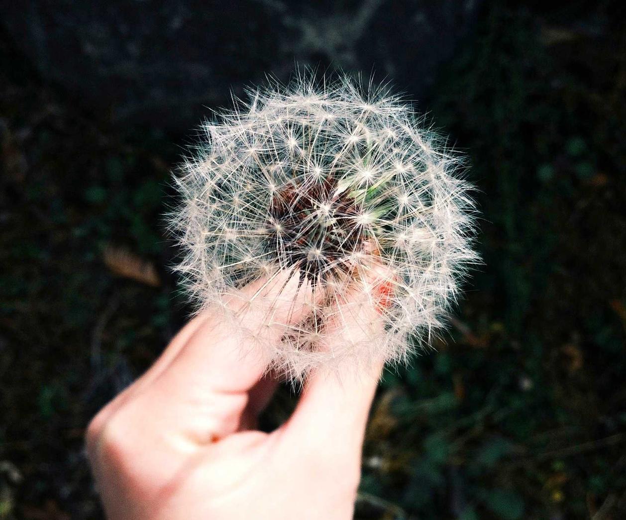 天翼云实名账号：王者荣耀注册苹果区账号