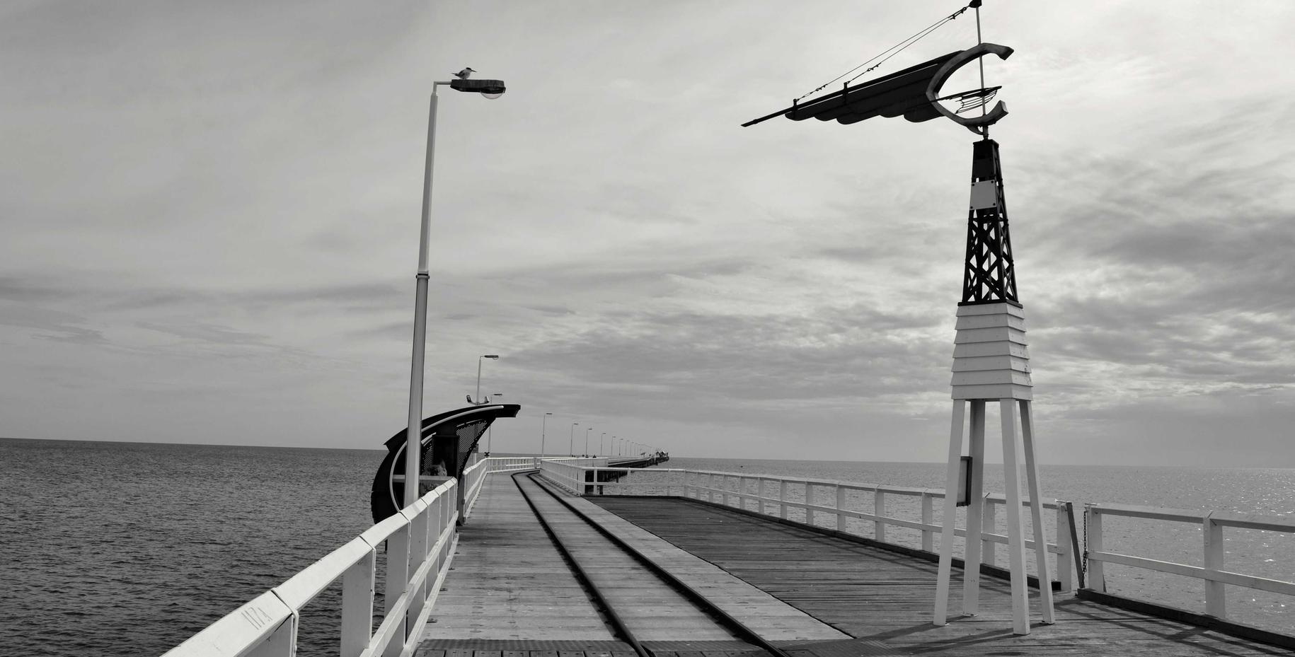 多肉app详情下载教程