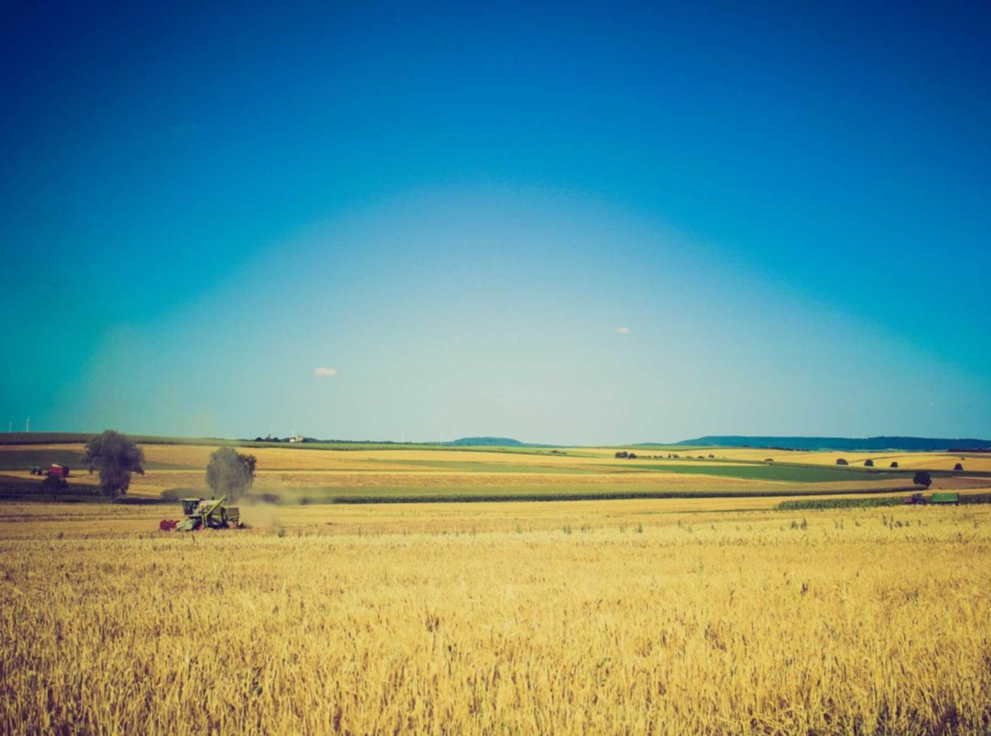 烽火集团阳江24小时税务代理平台