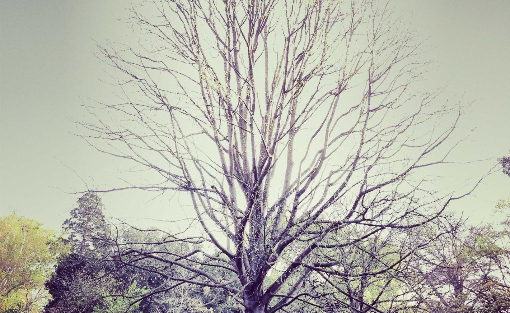 实名流量卡买卖:公司注册代理江门