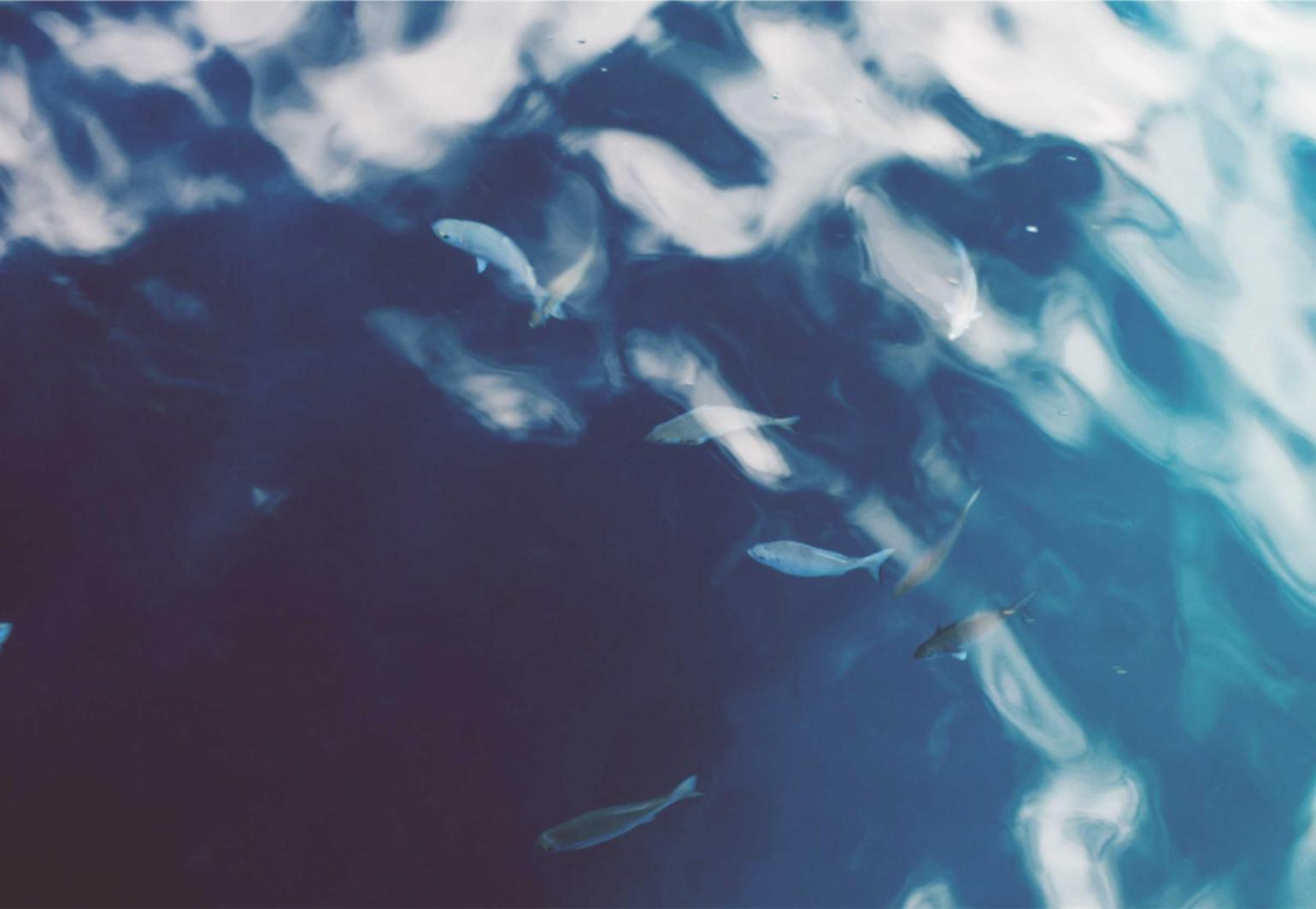 技术支持与游戏玩法的关系是如何影响影响游戏行业的？