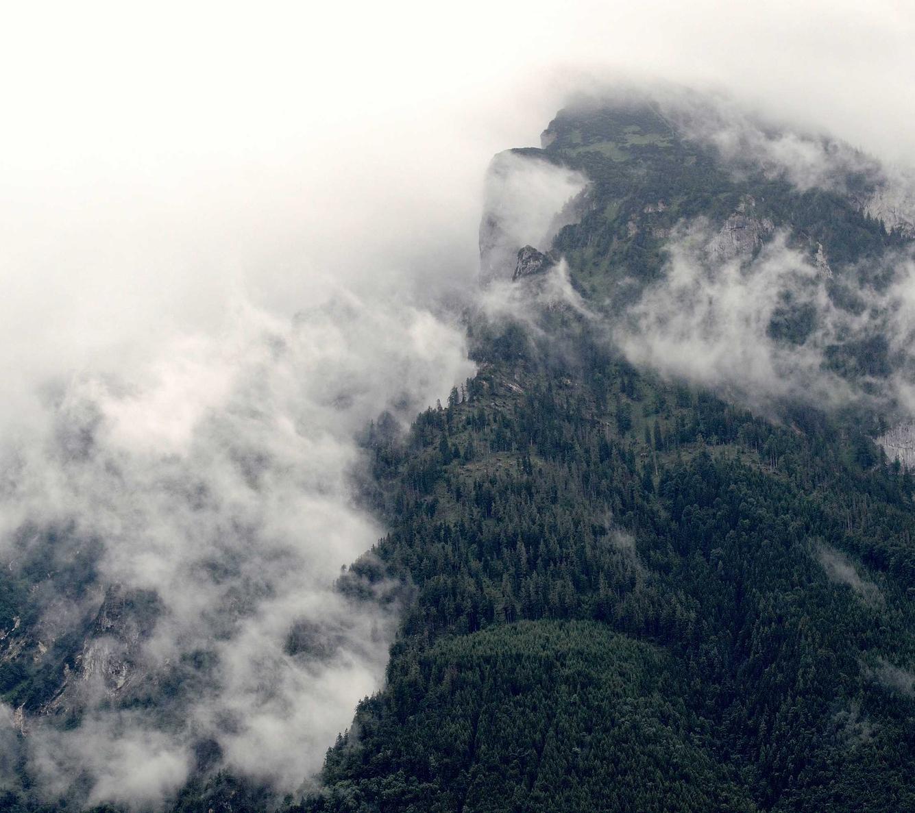 vx账号买卖:黄埔区工商注册代理