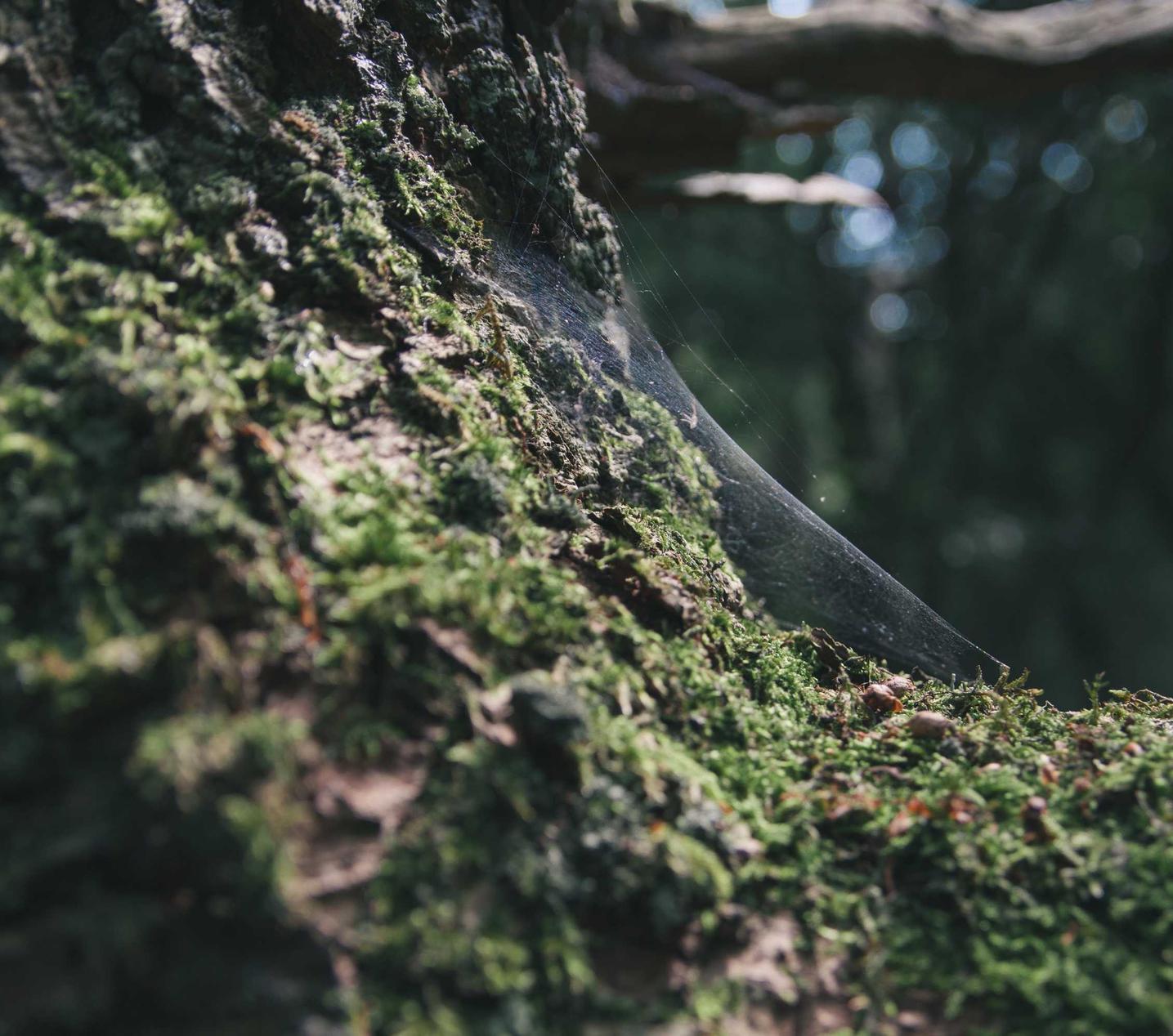 沙滩排球维纳斯假期辅助- 马关本地公司注册代理机构