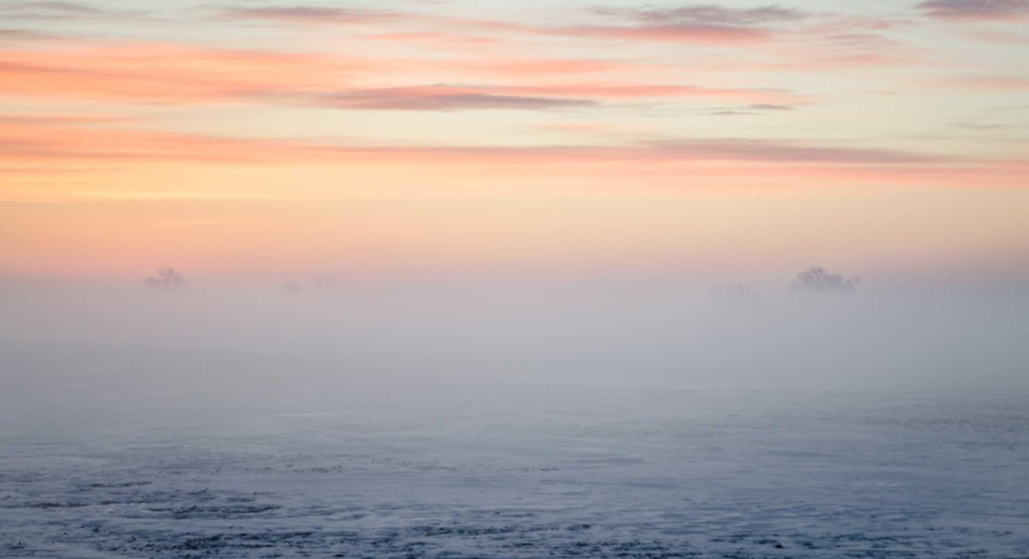 技术支持辅助的法律风险